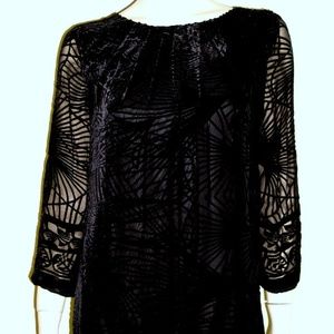 Studio M NWT Burnout Velvet Overlay Dress #5281